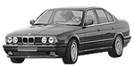 BMW E34 B3117 Fault Code